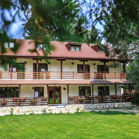 Pensiunea Vinatur Porumbacu de Sus Zewnętrze zdjęcie