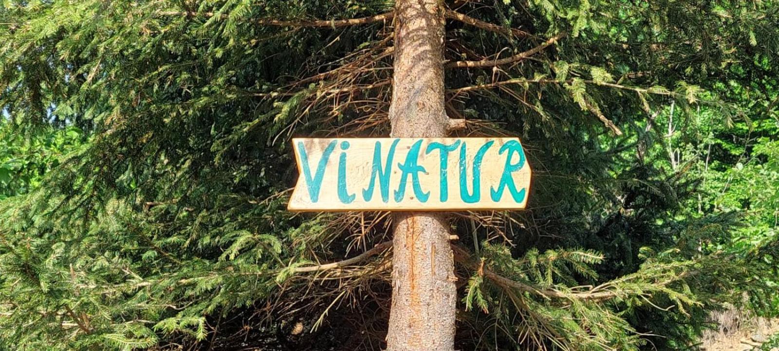 Pensiunea Vinatur Porumbacu de Sus Zewnętrze zdjęcie