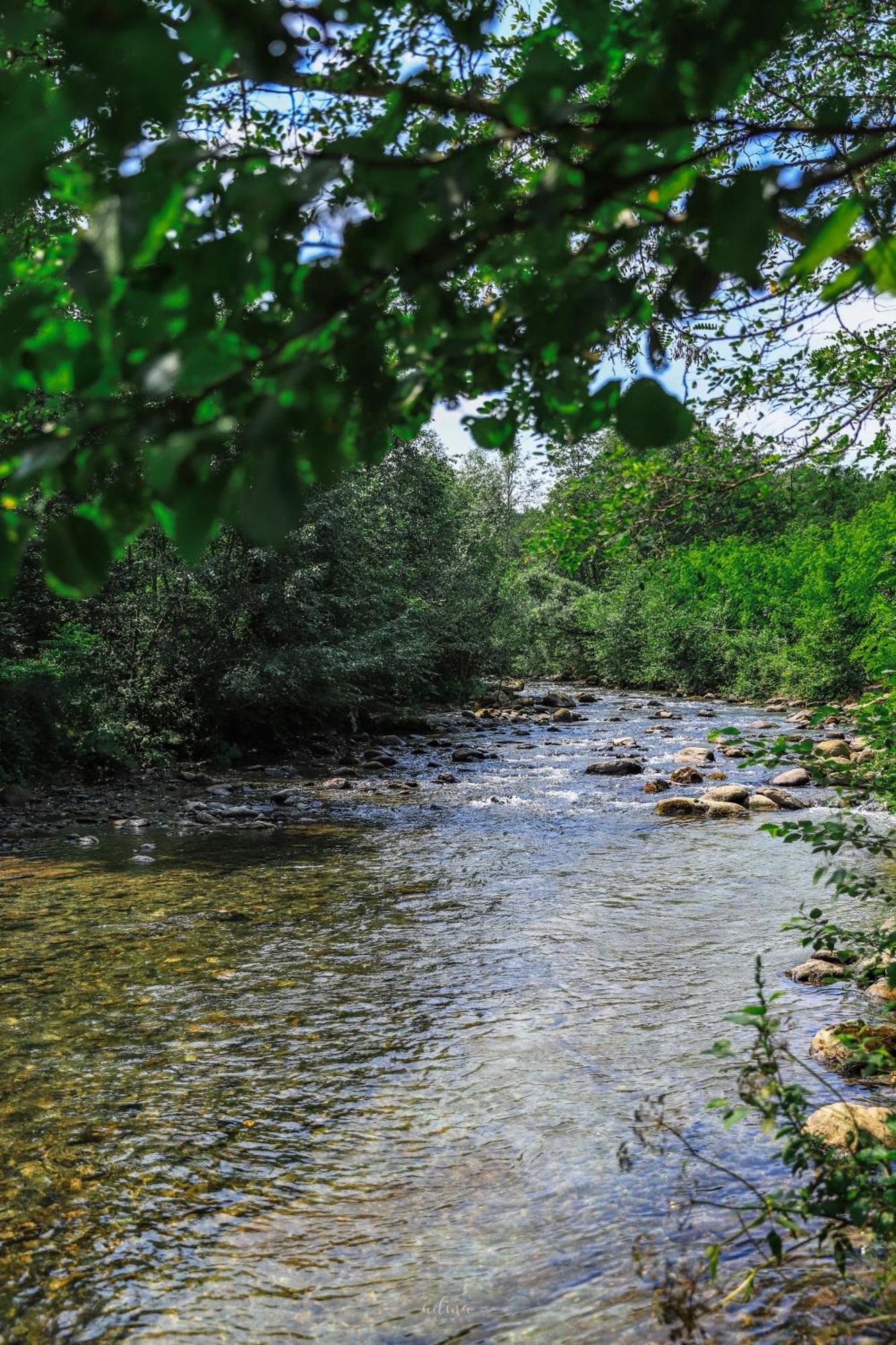 Pensiunea Vinatur Porumbacu de Sus Zewnętrze zdjęcie